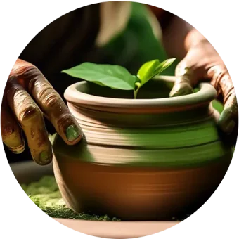 contact-pot