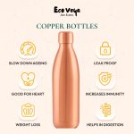Ecoveya Matt Atlas Copper Bottle - Image 3