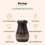 EcoveyaAntique Etching Copper Rajwadi Pot - Image 3